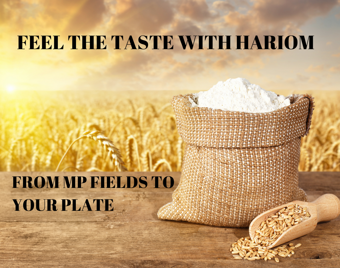 Why India's Finest Wheat Comes from Madhya Pradesh