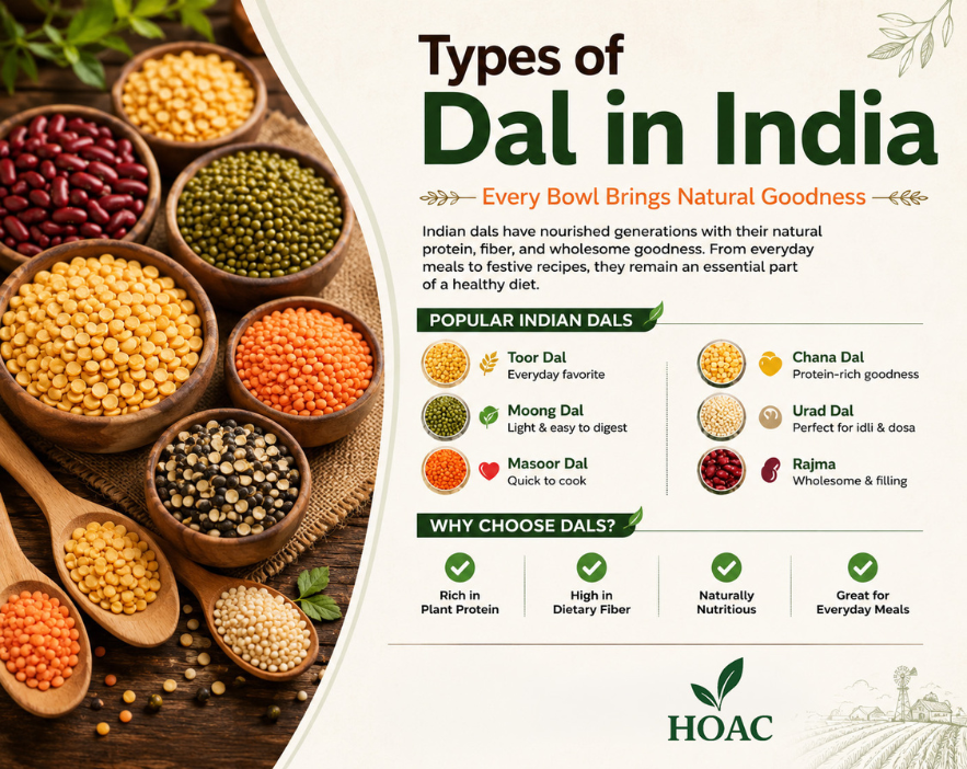 Assorted Indian dal and pulses varieties — toor, moong, masoor, chana and urad dal in bowls, sourced by Hariom