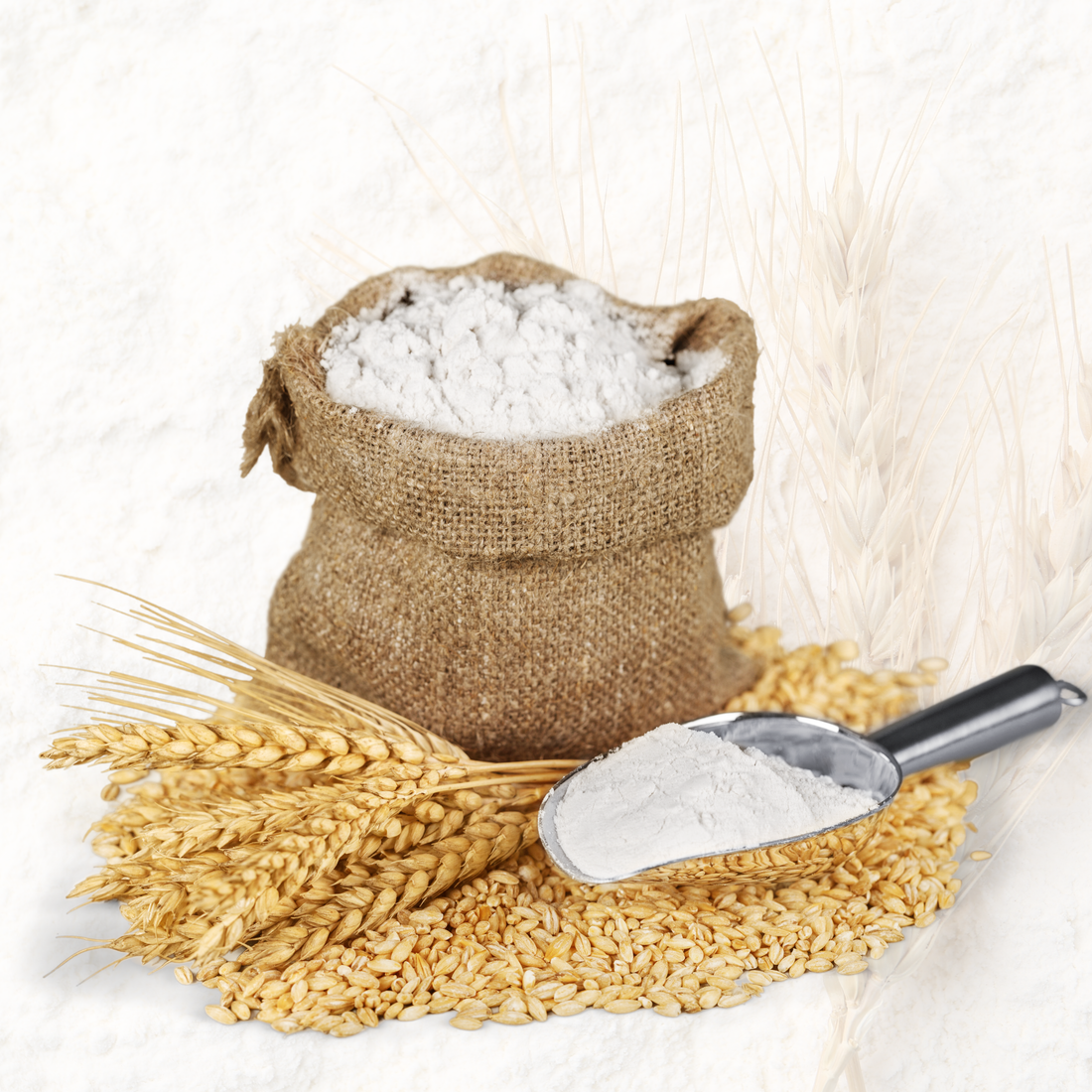 Sharbati Atta vs Khapli Atta: Which One Should You Actually Use?
