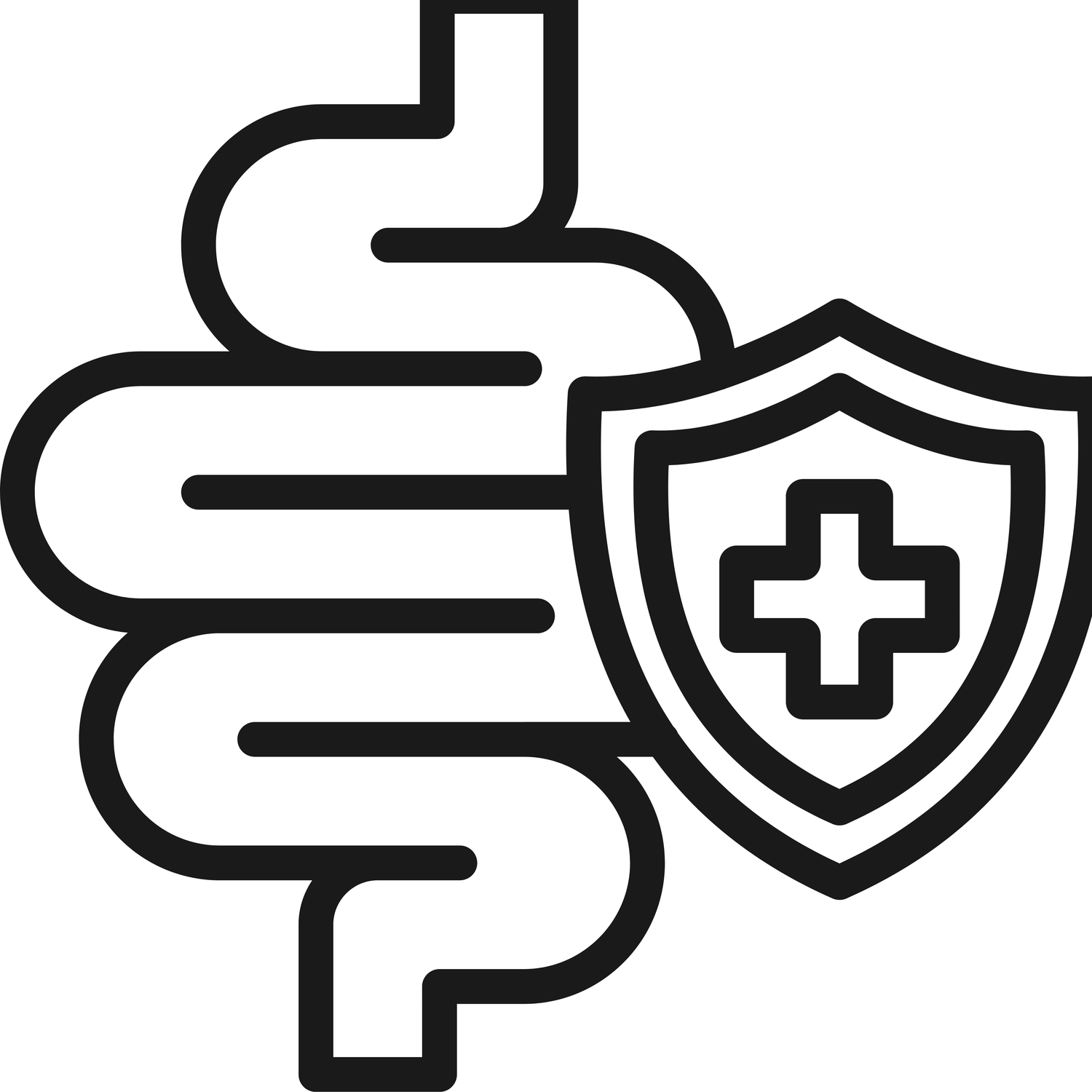 Gut Health