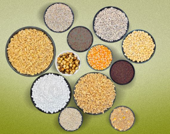 Healthy Grains