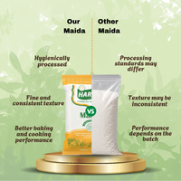 Maida