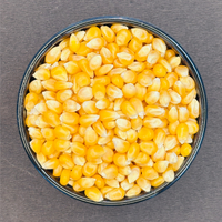 Pop Corn